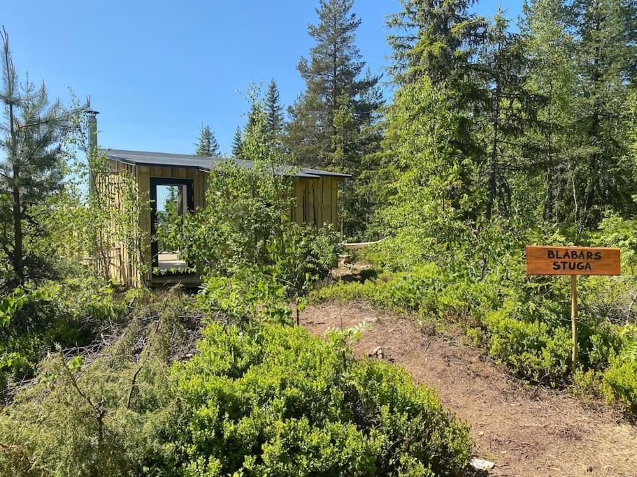 Forest Cabin With Stunning Mountain View & Sauna Torsby Exterior photo