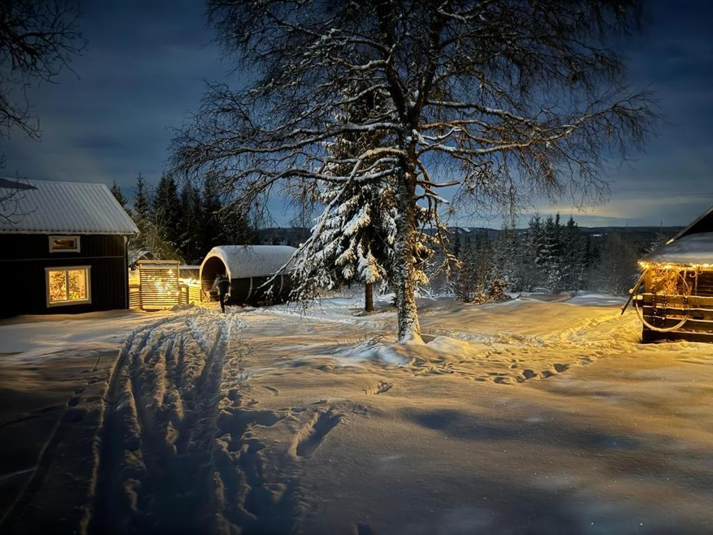 Forest Cabin With Stunning Mountain View & Sauna Torsby Exterior photo