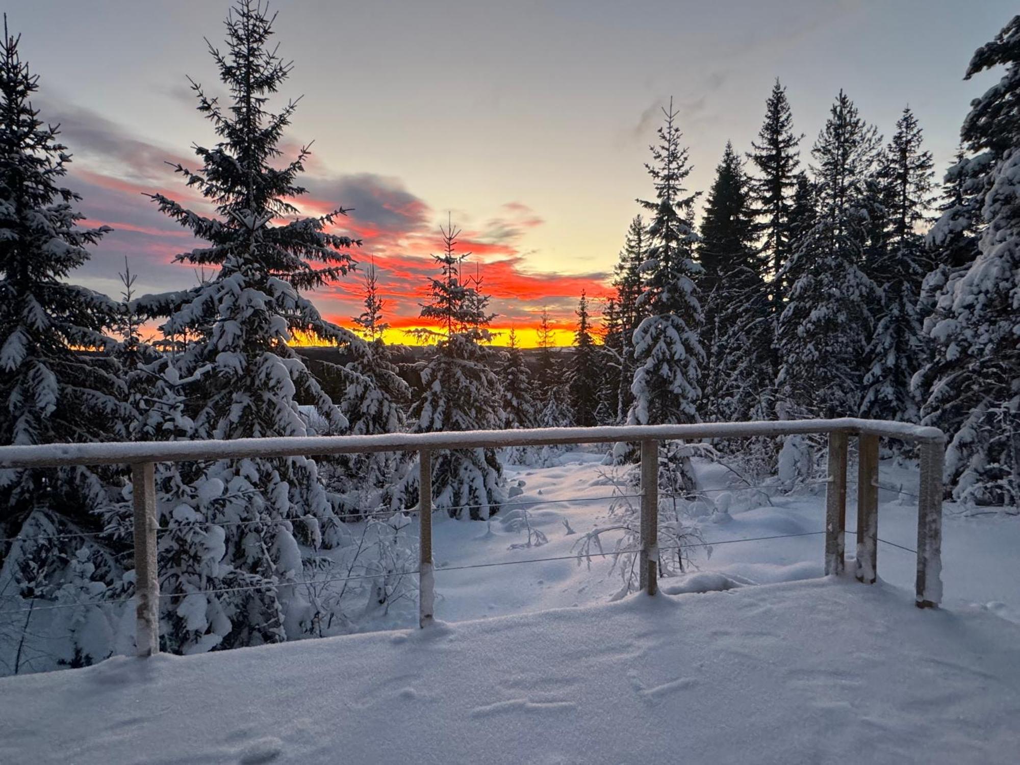 Forest Cabin With Stunning Mountain View & Sauna Torsby Exterior photo